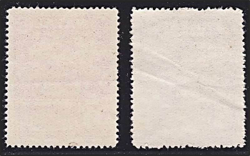 Natal Entertainment Tax 4d Mint/No Gum & 5d UMM(**)/Gum Crease *** SCARCE LOT ***