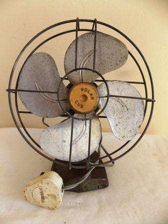 POLAR CUB FAN
