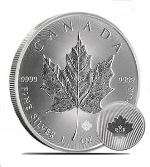 2015 Canadian Silver Maple (99.99%)