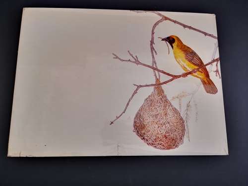 Trees, Shrubs and Birds of Unisarand: Bome, Struike en Voels van Unisarand By B.P. Barkhuizen