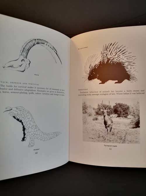 Walk Through the Wilderness by Clive Walker and Don Richards