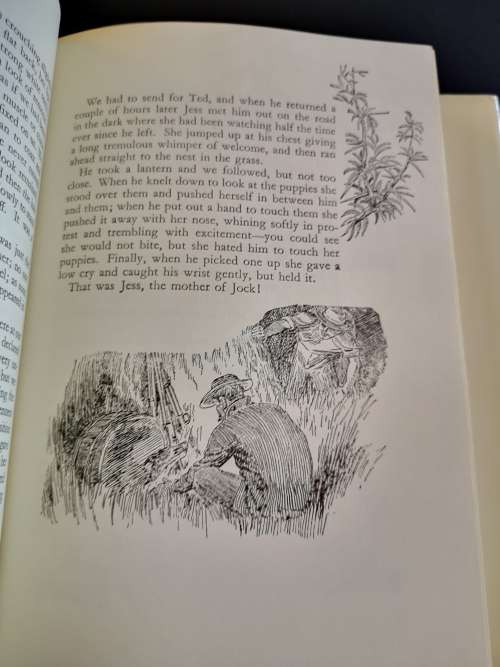 Jock of the Bushveld by Sir Percy Fitzpatrick