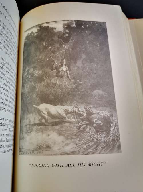 Jock of the Bushveld by Sir Percy Fitzpatrick