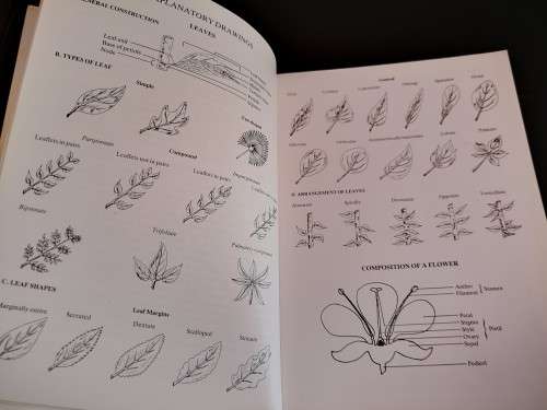 Field Guide to The Trees of The Kruger National Park by Piet van Wyk