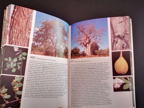 Field Guide to The Trees of The Kruger National Park by Piet van Wyk