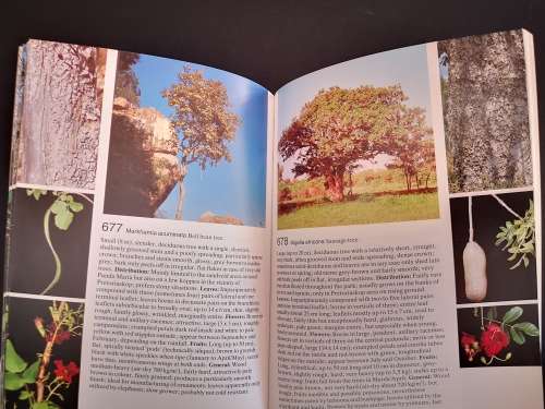 Field Guide to The Trees of The Kruger National Park by Piet van Wyk