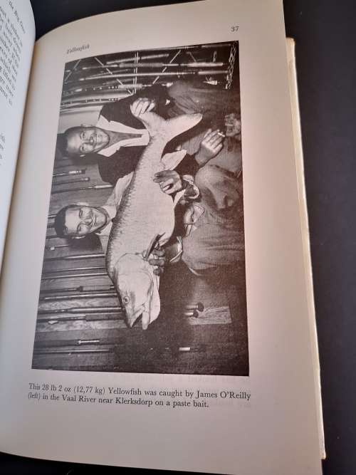 Techniques of Fresh Water Fishing in South Africa by P. Hendley and M.G. Solomon