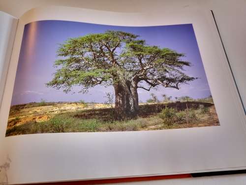 CACIMBO IMAGES OF ANGOLA by Olivier Michaud