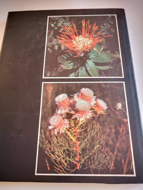 The Proteaceae of South Africa by Frank Rousseau