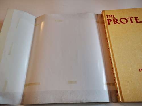 The Proteaceae of South Africa by Frank Rousseau