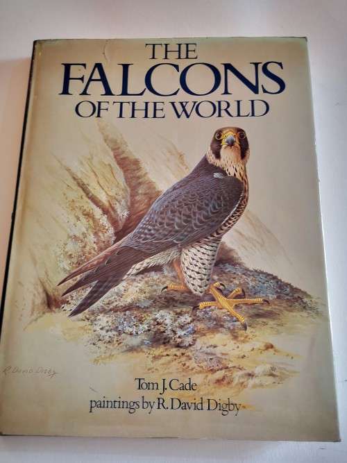 The Falcons of the World by Tom J Cade and R David Digby