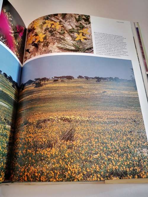Namibia A Thirstland Wilderness by Hugo A Lambrecht