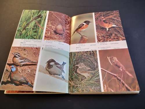 Birds of the Highveld by Peter Ginn