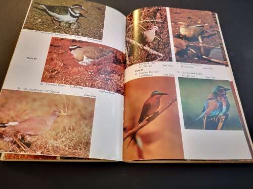 Birds of the Highveld by Peter Ginn