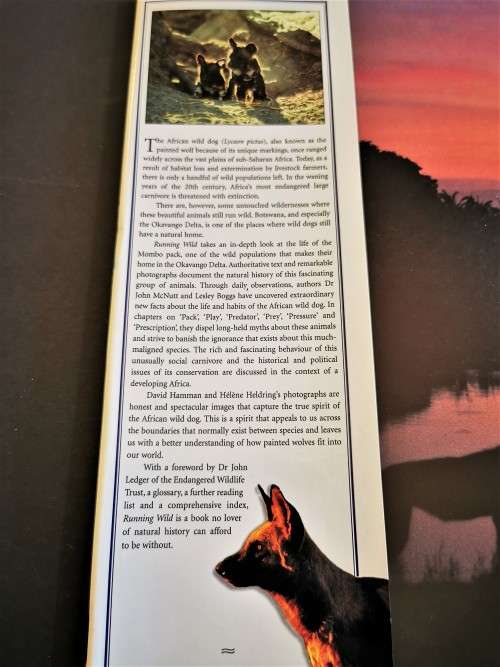 Running Wild: Dispelling the Myths of the African Wild Dog by John Mc Nutt and Lesley Boggs