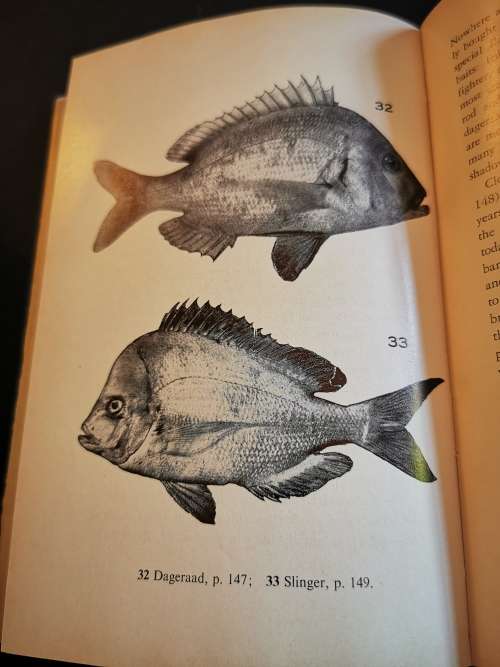 Our Fishes by Prof Smith