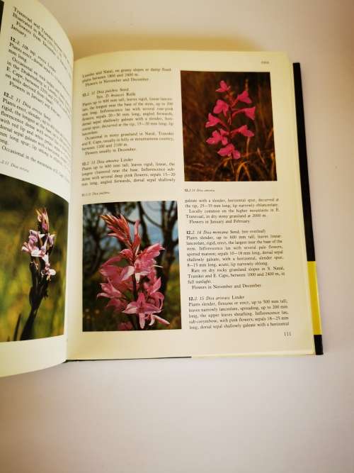 Wild Orchids of Southern Africa by Joyce Stewart and H.P. Linder