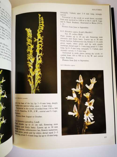 Wild Orchids of Southern Africa by Joyce Stewart and H.P. Linder