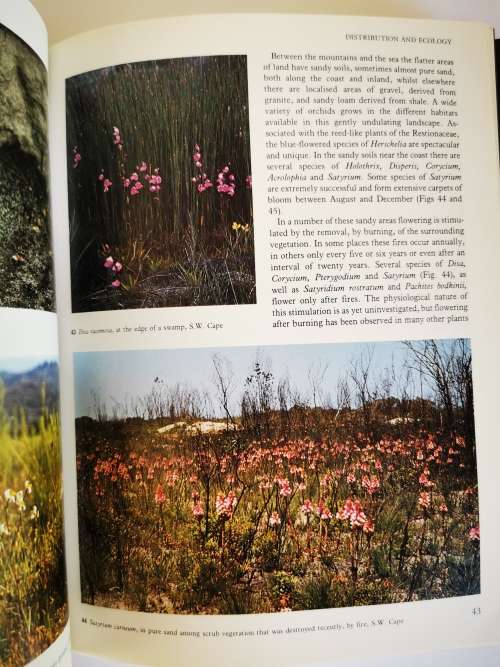 Wild Orchids of Southern Africa by Joyce Stewart and H.P. Linder