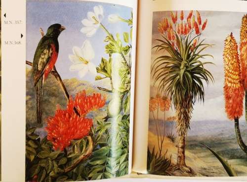 Natal, The Garden Colony by Donal P Mc Cracken and Patricia A. Mc Cracken