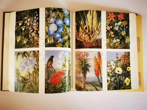 Natal, The Garden Colony by Donal P Mc Cracken and Patricia A. Mc Cracken