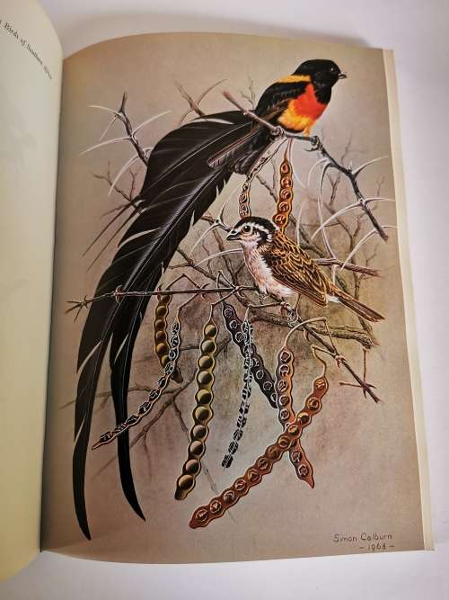 Calburn`s Birds of Southern Africa by Simon Calburn