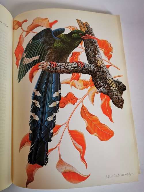 Calburn`s Birds of Southern Africa by Simon Calburn