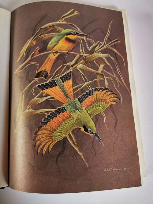 Calburn`s Birds of Southern Africa by Simon Calburn
