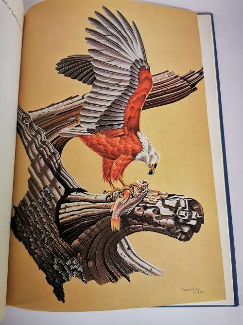 Calburn`s Birds of Southern Africa by Simon Calburn