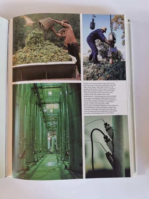 The Complete Book of South African Wine by John Kench, Phyllis Hands and David Hughes
