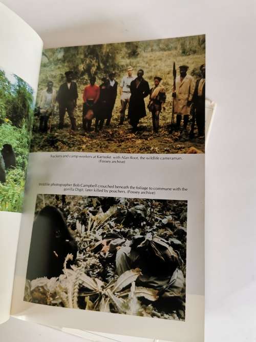 Woman in the Mists The Story of Diane Fossey and the Mountain Gorrilas of Africa by Farley Mowat
