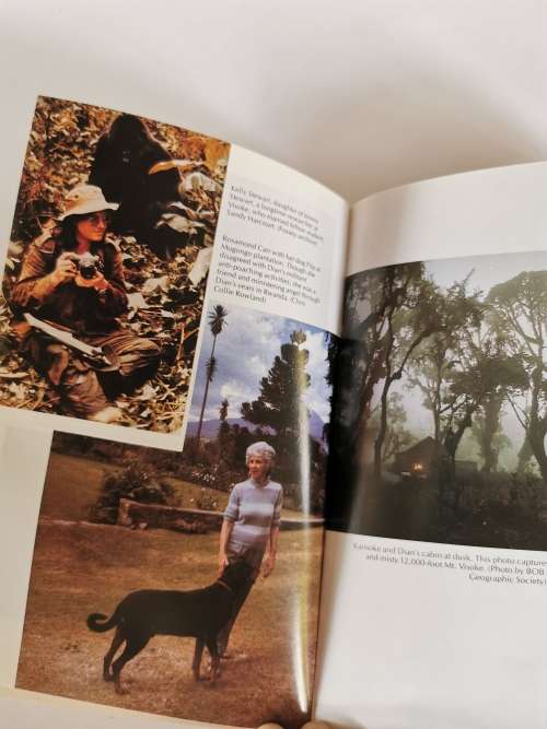 Woman in the Mists The Story of Diane Fossey and the Mountain Gorrilas of Africa by Farley Mowat