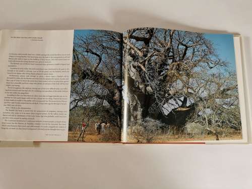 Lulu Phezulu Leigh Voight`s African Album