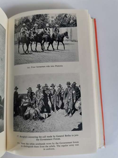 The Foster Gang by Henry J. May and Iain Hamilton