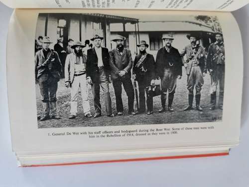 The Foster Gang by Henry J. May and Iain Hamilton