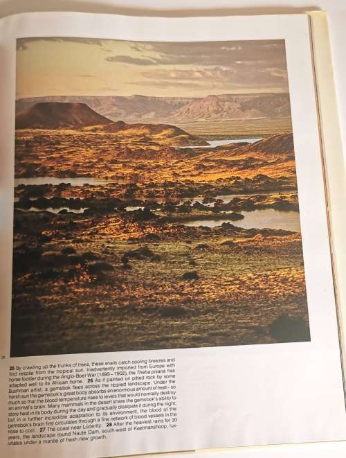 South West by Gerald Cubitt and Johann Richter