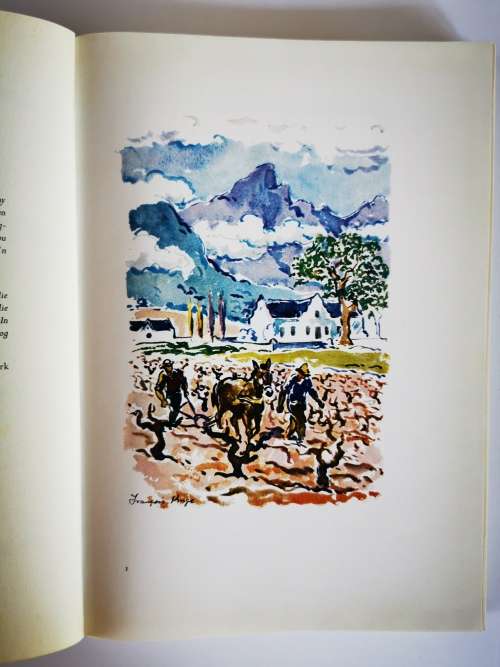 Die Witwyne van Suid-Afrika by w a de Klerk