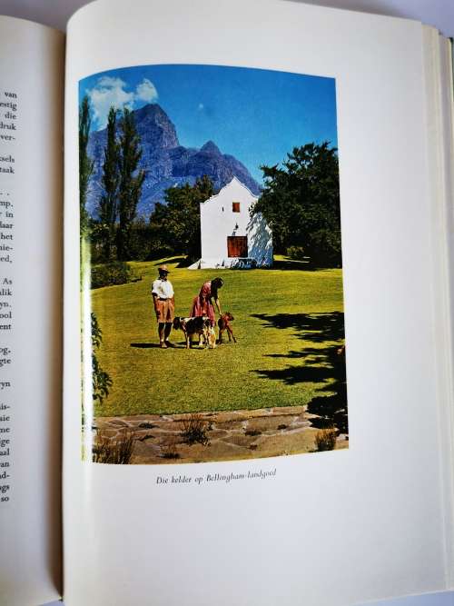 Die Witwyne van Suid-Afrika by w a de Klerk