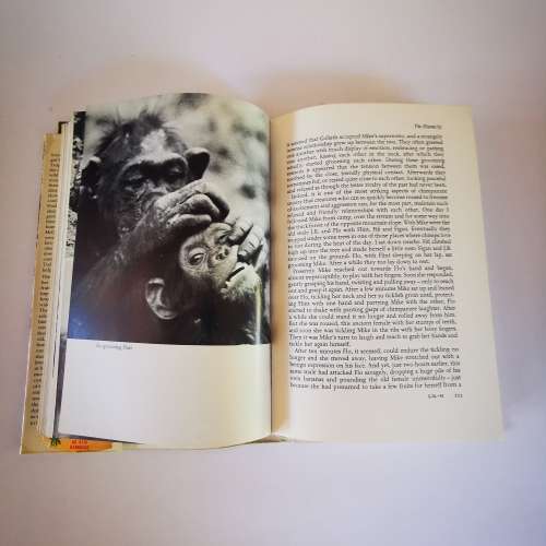 In the Shadow of Man by Jane van Lawick-Goodall