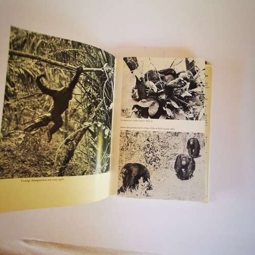 In the Shadow of Man by Jane van Lawick-Goodall