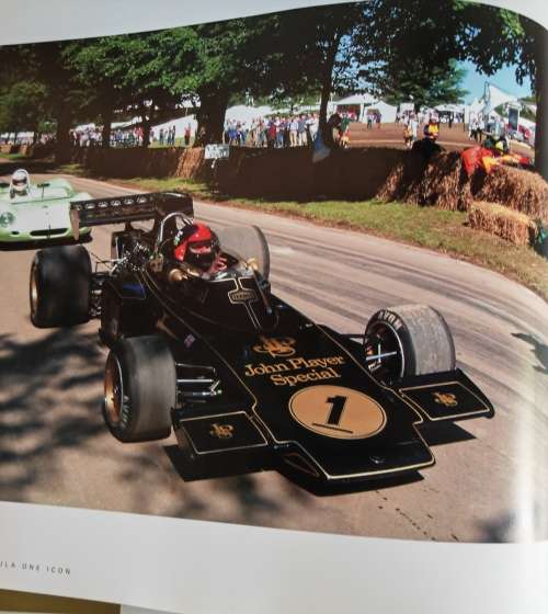 LOTUS 72 FORMULA ONE ICON by Michael Oliver