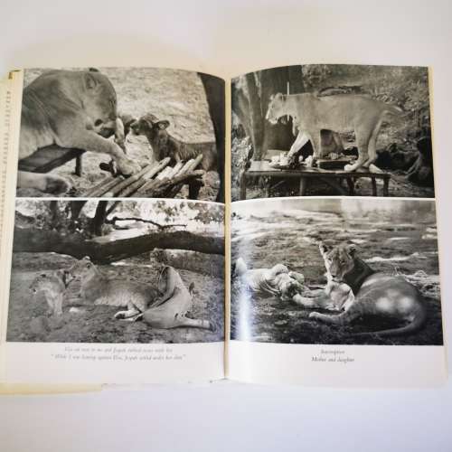 Living Free The Story of Elsa and her Cubs by Joy Adamson
