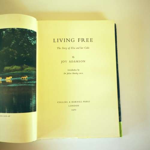Living Free The Story of Elsa and her Cubs by Joy Adamson