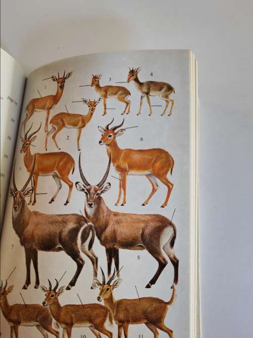 A FIELD GUIDE TO THE NATIONAL PARKS OF EAST AFRICA - J.G. WILLIAMS
