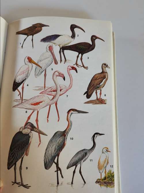 A FIELD GUIDE TO THE NATIONAL PARKS OF EAST AFRICA - J.G. WILLIAMS