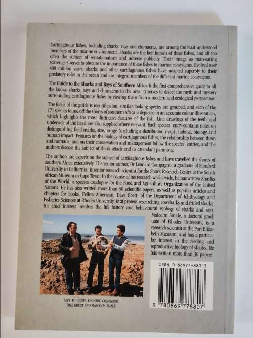GUIDE TO THE SHARKS AND RAYS OF SOUTHERN AFRICA - F J V COMPAGNO, D A EBERT, M J SMALE