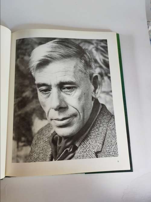 THE ART OF ALEXANDER ROSE-INNES -- Martin Bekker