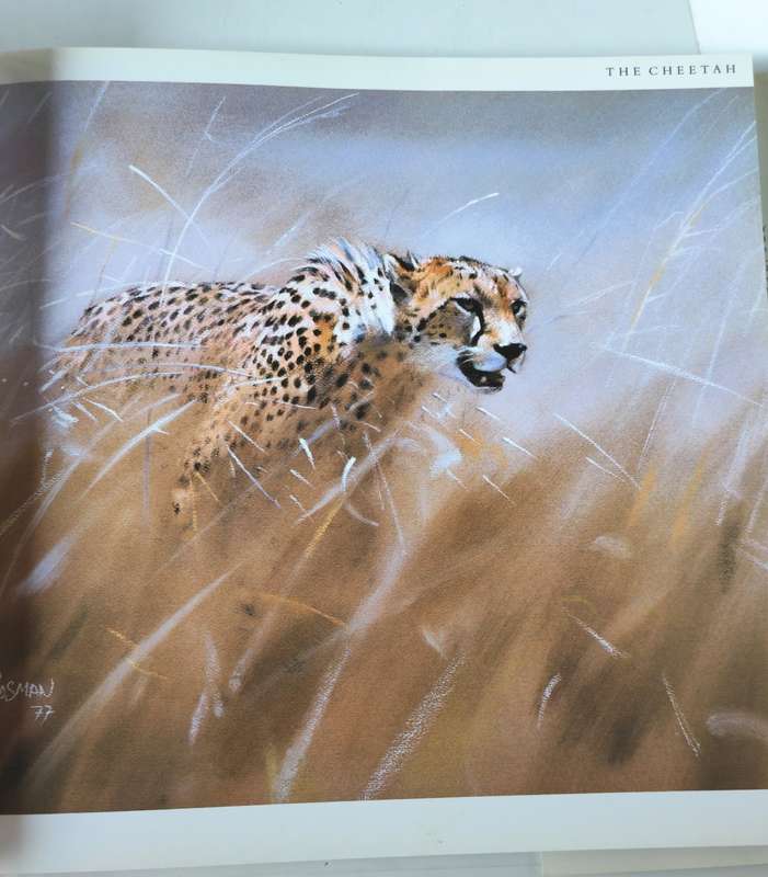 Cats of Africa by Paul Bosman and Anthony Hall-Martin