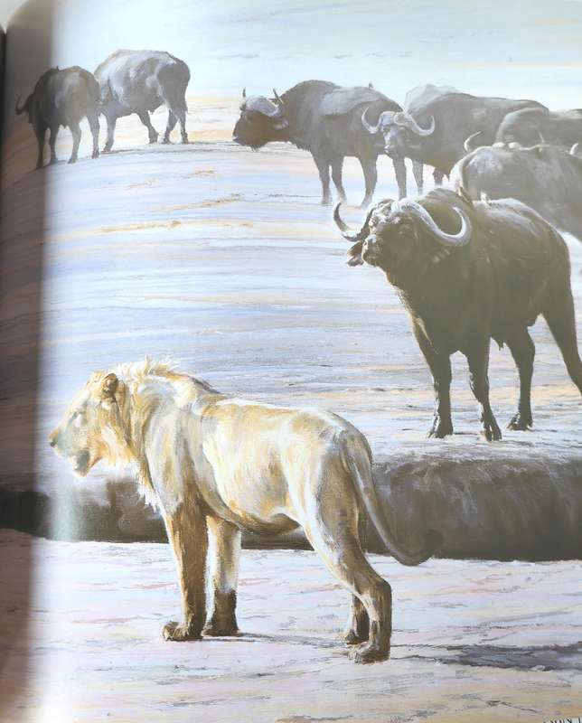 Cats of Africa by Paul Bosman and Anthony Hall-Martin