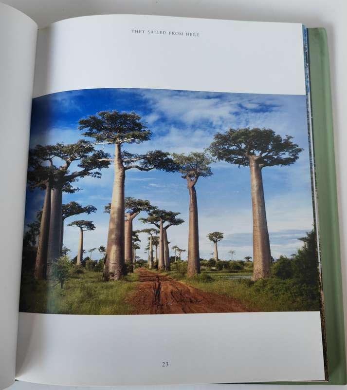 The Remarkable Boabab by Thomas Packenham